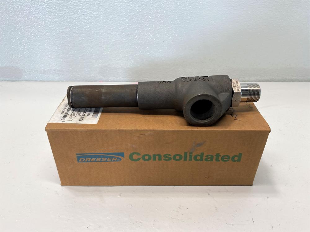 Dresser Consolidated 3/4" MNPT x 1" FNPT Relief Valve, 2-096-2-MS